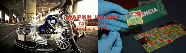 ГАЛЛЮЦИНОГЕННЫЕ ГРИБЫ Верея
