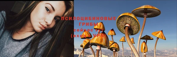 ГАЛЛЮЦИНОГЕННЫЕ ГРИБЫ Верея