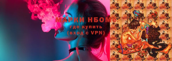 ГАЛЛЮЦИНОГЕННЫЕ ГРИБЫ Верея