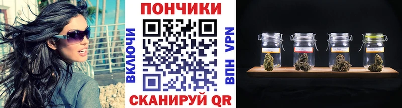 Купить где  Олонец  Конопля SATIVA & INDICA 